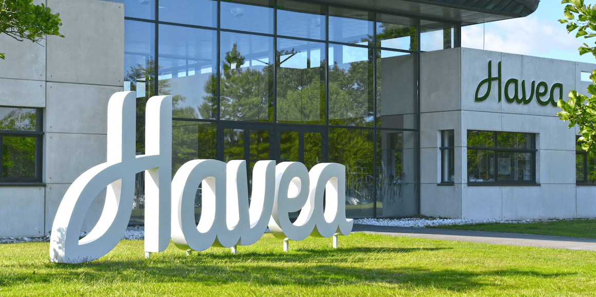 Entreprise Havea group